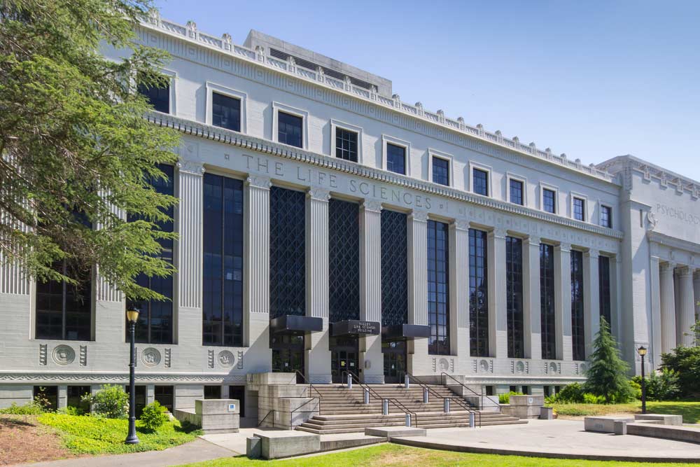 Conheça as 15 melhores faculdades de