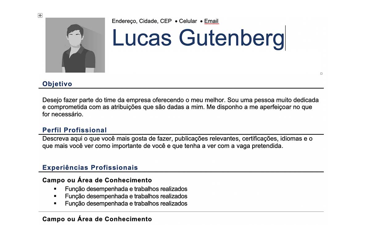 Curriculum Vitae 1